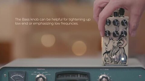 楽天市場】WALRUS AUDIO Eons Five-State Fuzz新品 ファズ[ウォルラス