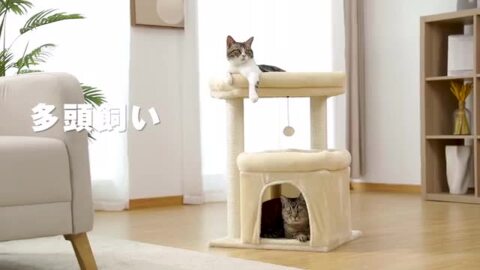 楽天市場】【P10倍・マラソン期間限定】キャットタワー 大型猫用 