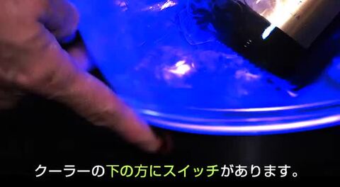 アルマンド シャンパンクーラー 未使用 Amazon | アルマンド シャンパンクーラー ワイン シャンパン