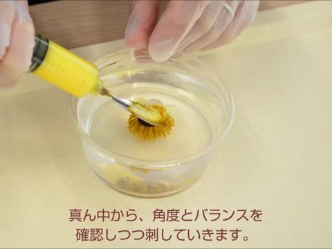 楽天市場】オリジナル フラワー ゼリー ツール A セット 注射器