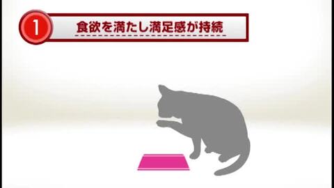ロイヤルカナン　ステアライズド　グレービー　5箱➕5パウチ 9003579311301-2.jpg