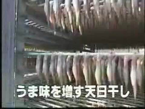 楽天市場】子持ち 本シシャモ メス 20尾入り(大サイズ) 北海道