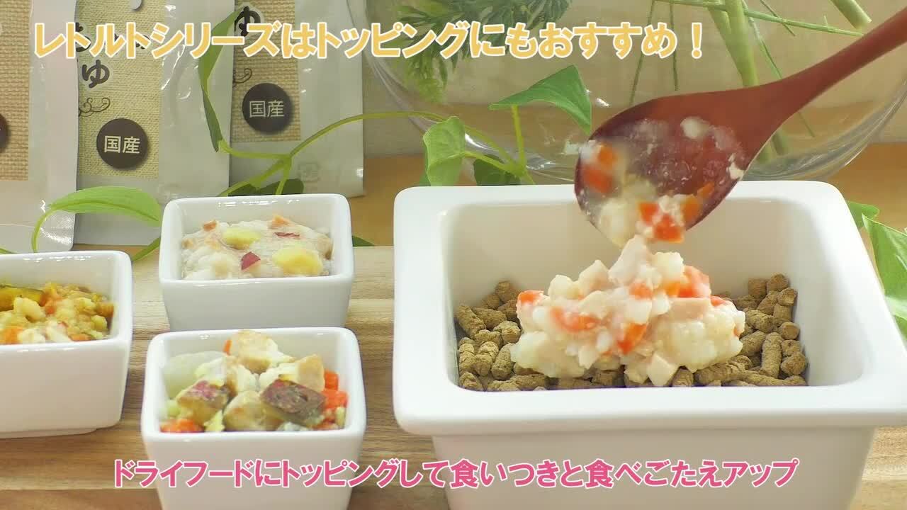 ハウンドカム 鶏肉と砂肝たっぷりのクリームシチュー豚バラ肉とゴロゴロ野菜の煮込み 愛犬の安心レトルトごはん 鶏肉と砂肝のクリームシチュー100g 1