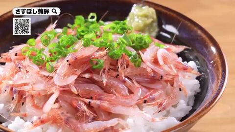 楽天市場】＼スーパーSALE☆20％OFF！6,500円→5,200円／【生