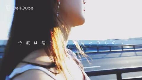 楽天市場】CellCube 30w 超ミニサイズUSB-C急速充電器【PSE認証