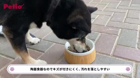 犬用食器 Porta ポルタ 木目調 陶器食器 Mサイズ | ペティオ