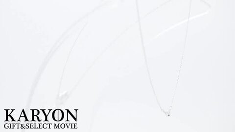 楽天市場】【ギフト品質】ティファニー Tiffany&Co. ネックレス