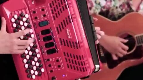 Roland V-アコーディオン専用バッテリーパック Roland V