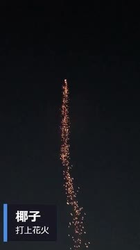 楽天市場 椰子 打上花火 打上げ花火 打ち上げ花火 花火 子供会 景品 お祭り くじ引き 縁日 夏祭り 夕涼み会 町内会 イベント キャンプ 301 21f07 沖縄 離島発送不可 フェスティバルプラザ