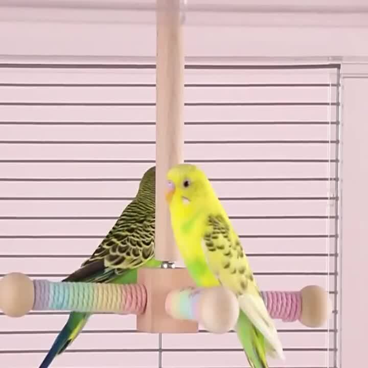 楽天市場】止まり木 回り可能 回転可能 おもちゃ インコスタンド