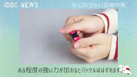 楽天市場】【 猫 首輪 安全 】iCat アイキャット カジュアル