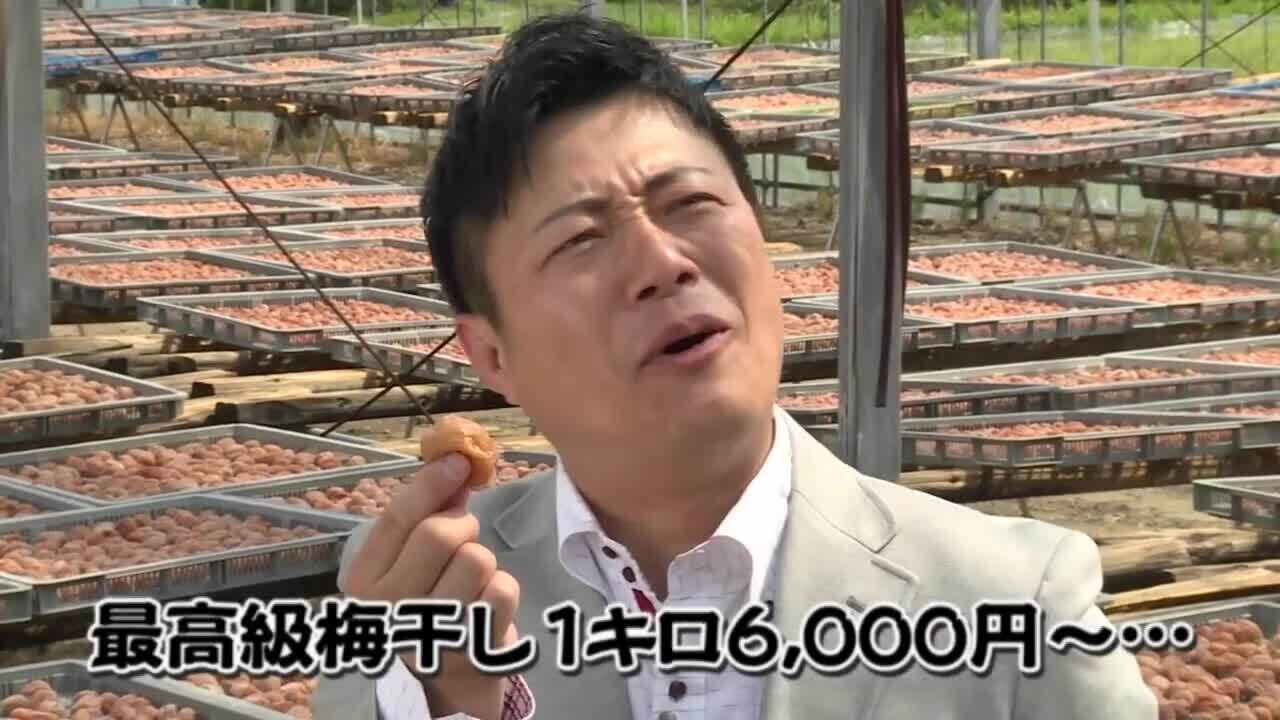 【tokotoko】訳あり　昔ながらの梅干し　4キロ2L　規格外　#192 楽天市場】紀州南高梅 完熟つぶれ梅 2kgセット - 1パック500g 4