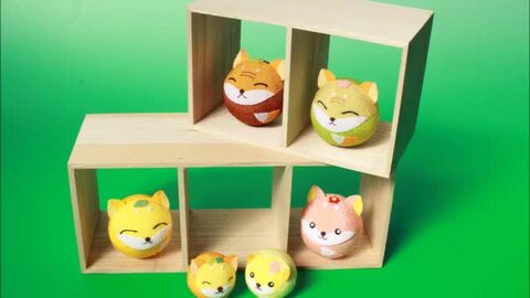 ハンドメイド　チェブラーシカ　作家様　起き上がりこぼし　置物 楽天市場】母の日 カーネーション プレゼント チェブラーシカ