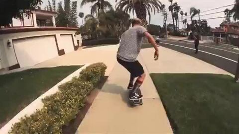 2.0 スポーツ 新品 carver 31.25 KNOX QUILL テイラー ノックス