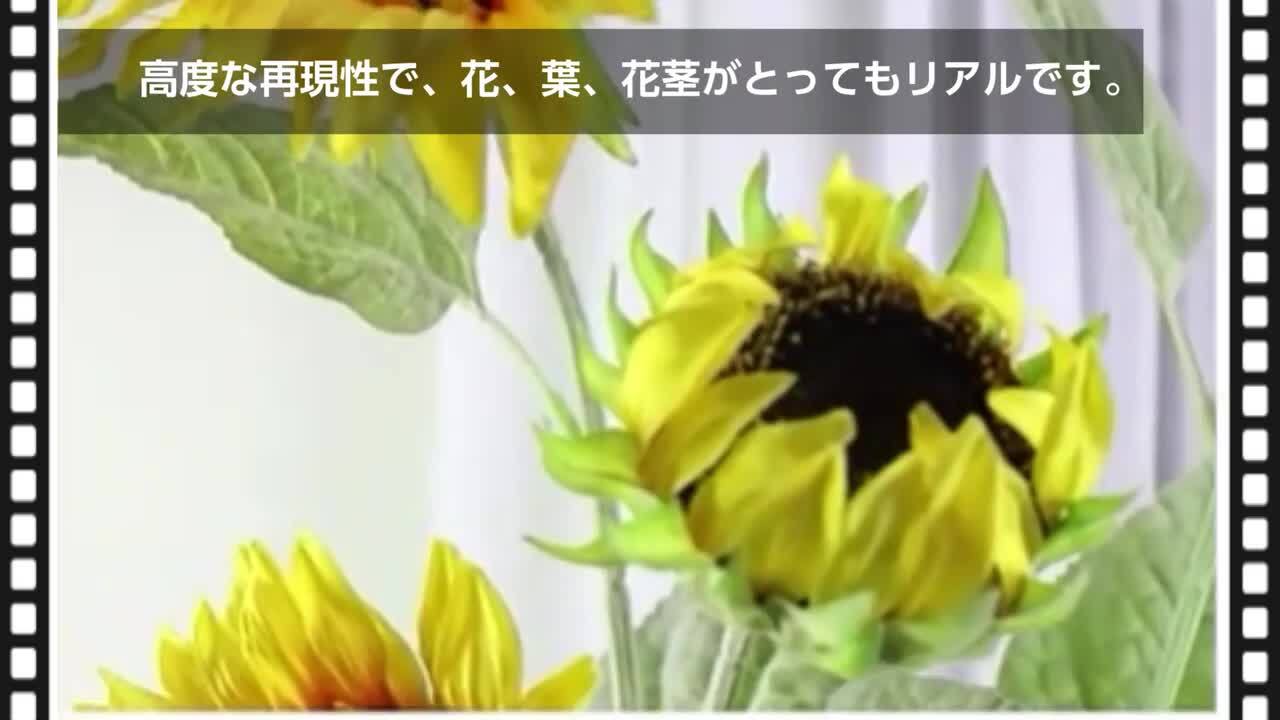 ひまわり itc921053.png