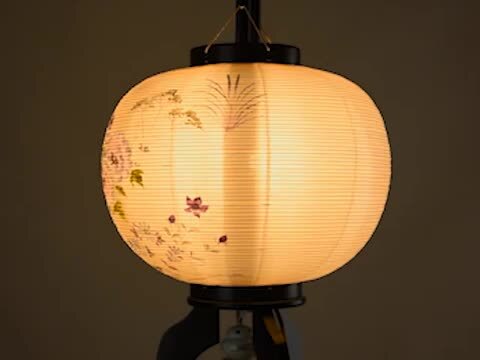 ㊷薩摩琵琶用 撥・紫檀 黄楊（26cm） 敦煌琵琶572/572M 乌木相木轸混水式牡丹头花_