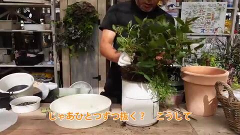 楽天市場】アップルウエアー ピタッとスノコ 33型 ブラック 鉢底 楽天市場】アップルウエアー ピタッとスノコ 33型 ブラック 鉢底