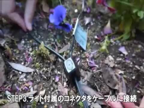 楽天市場】大人のガーデンライト スポットライト ワイド 屋外 楽天市場】大人のガーデンライト スポットライト ワイド 屋外
