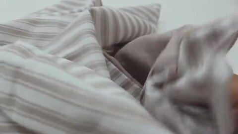 楽天市場】＼LINE限定coupon／＋sleep. Premium 先染めガーゼ