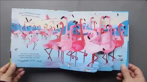 楽天市場】飛び出す絵本 仕掛け絵本 鳥 英語 English picture