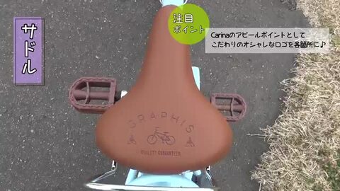 Amazon | GRAPHIS(グラフィス) GR-CARINA 子供用自転車 16インチ