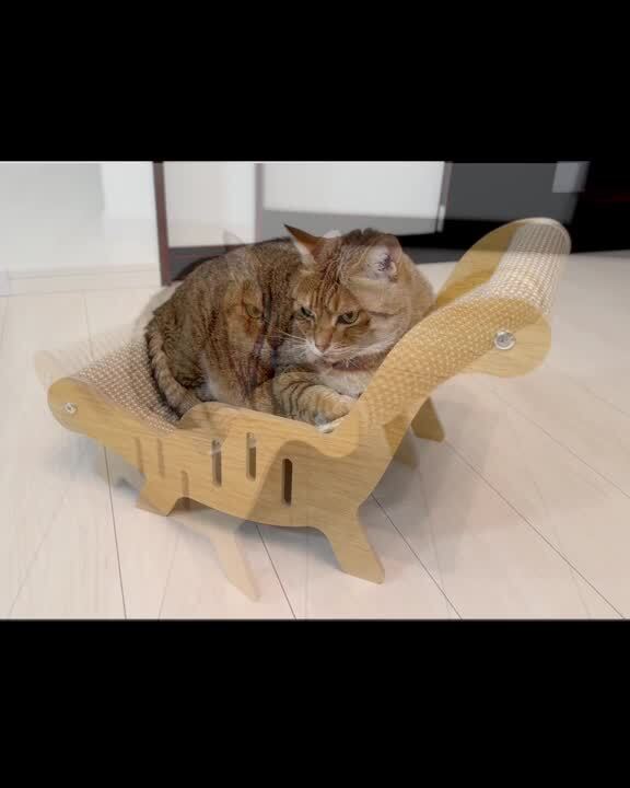 断捨離中★猫好きルナページ　よもぎ蒸し専用椅子　7点セット 楽天市場】猫 爪とぎ チェア 耐荷重10kg ペット ソファ 研ぎカス