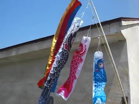 新品❗️激安❗️1.5mサイズ鯉のぼり スタンド台付き 楽天市場】【こいのぼり】友禅鯉プレミアムスタンドセット /1.5m