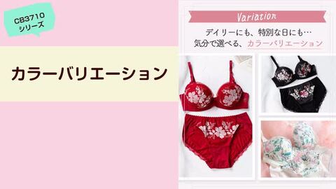 楽天市場】【SALE／10%OFF】【ブラ＆ショーツセット】 ウイング