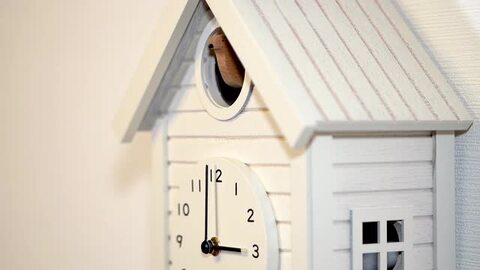 楽天市場】シャンブル CHAMBRE Cuckoo CLOCK WHITE CH-059WH 鳩時計