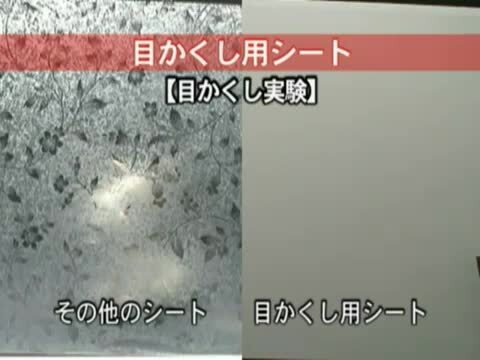 楽天市場】アサヒペン 目かくし用シート 92cmX90cm (チュリス) M