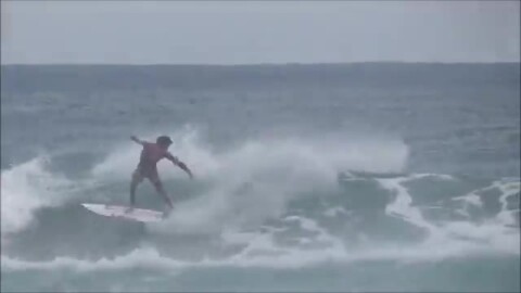 楽天市場】JOISTIK SURFBOARDS ジョイスティック サーフボード 