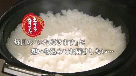 令和6年産三重県伊賀市産みえのゆめ20㎏白米( 送料 精米料 消費税込) 令和6年産三重県伊賀産コシヒカリ22㎏5.5㎏×4 白米（送料精米料