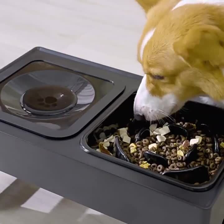 楽天市場】【ポイント10倍！24時間限定！】犬 餌入れ 水入れ