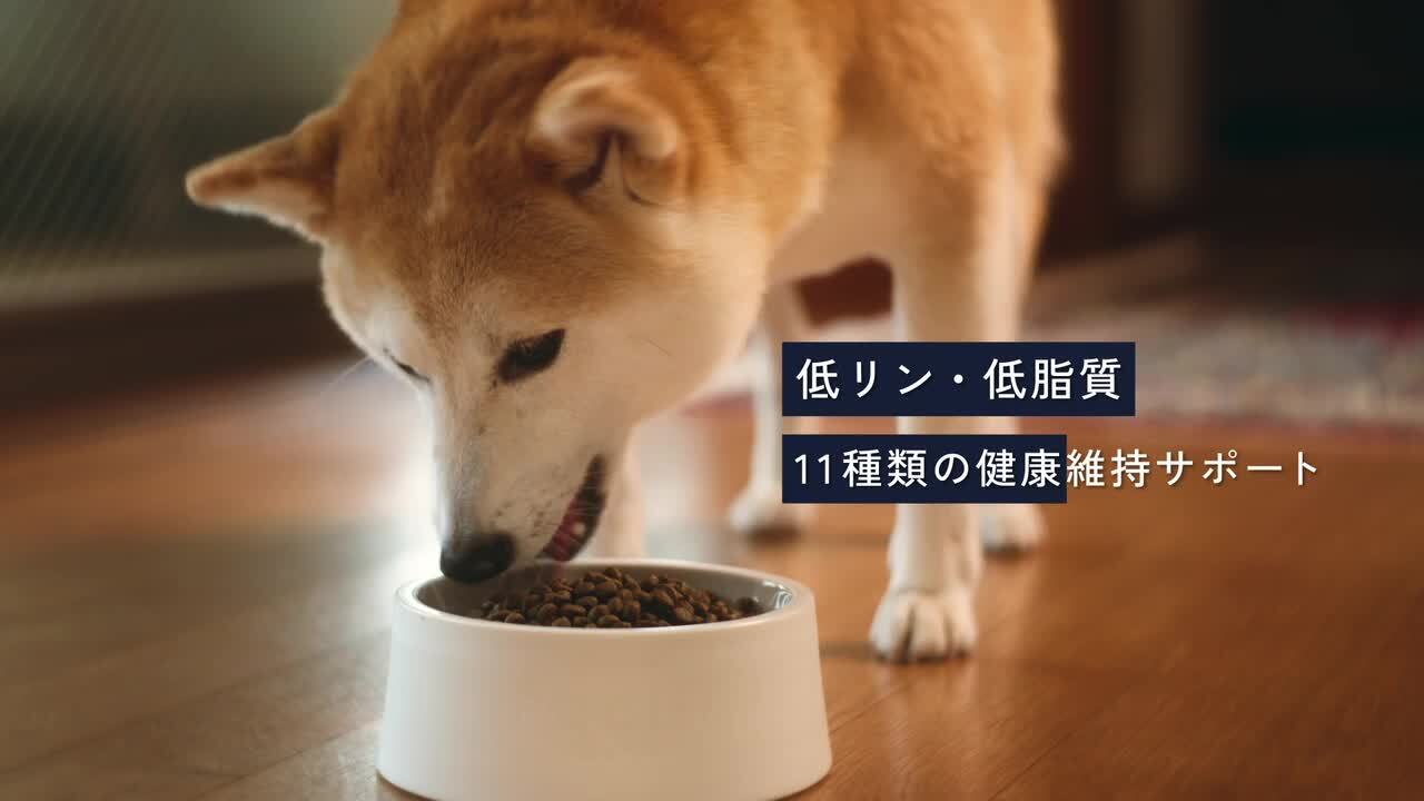 楽天市場】【POCHI公式】 POCHI ザ・ドッグフード エイジング