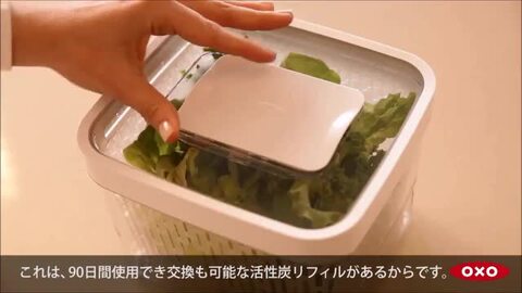 楽天市場】OXO オクソー グリーンセーバー フードキーパー 4.0L