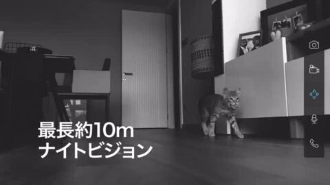 楽天市場】【P15倍確定☆】Tapo 屋内 防犯カメラ 見守りカメラ 300万