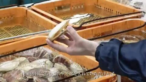 北海道産　天然　生わらび（7kg） 北海道3.7牛乳 酪農王国 | タカナシ乳業株式会社
