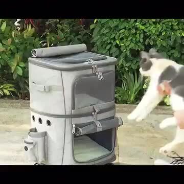 トリアティ高級ペットキャリー セット(OLIVE GREEN オリーブグリーン) 楽天市場】新色入荷！ペット キャリーバッグ キャスター付き 2段