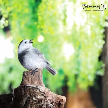 【楽天市場】【即日出荷可能】歌う小鳥 ハクセキレイ アニマルオブジェ アニマル かわいい 鳥 小鳥 トリ セキレイ 鳴く 置物 プレゼント ギフト  贈り物 動物 benny's ベニーズ 【紅石】 : 暮らしの家具インテリア