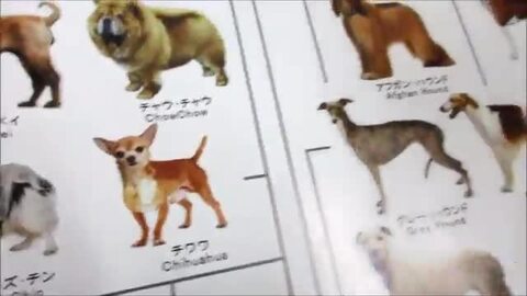 楽天市場】【 あす楽 】 犬の系統図 ドッグジェネレーション ポスター