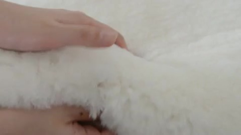楽天市場】【完売】ni 京都西川 ムートンクッション ムートン