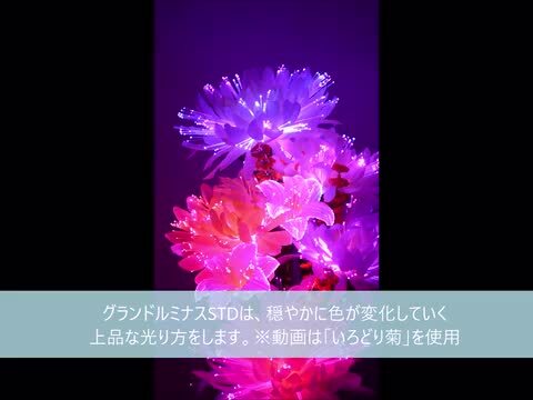 楽天市場】【盆提灯】供花付き霊前灯/フラワーライト グランド