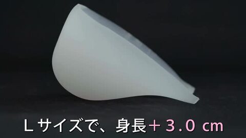 ★新品　未使用　⭐︎今ならクッションソールお付けします 楽天市場】CORE-RIGHT+BMZ コアライトプラスビーエムゼット アシ