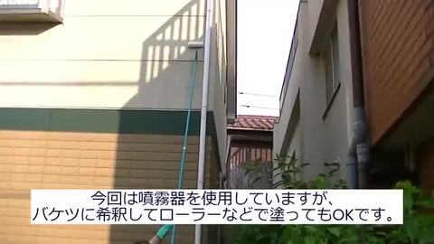 楽天市場】アルタン 30SECONDS 30セカンズ ワンステップ・スプレー