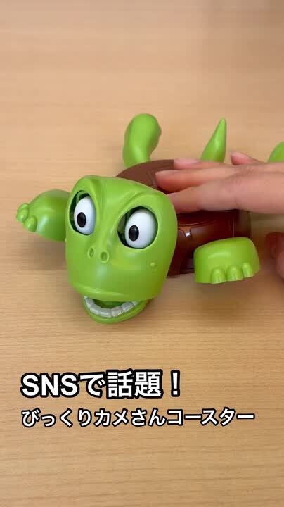 かめさん ジーピー カメさんのこうら 3805 1個（直送品） - アスクル