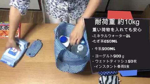 楽天市場】送料無料 エコバッグ コンビニサイズ 折りたたみ