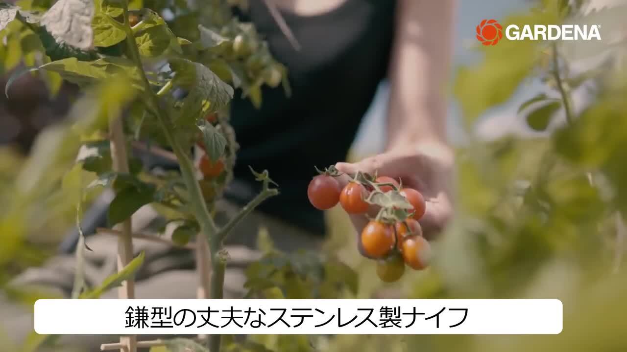 収穫皮むき万能ナイフ VeggieCut 84mm ステンレス刃 /A