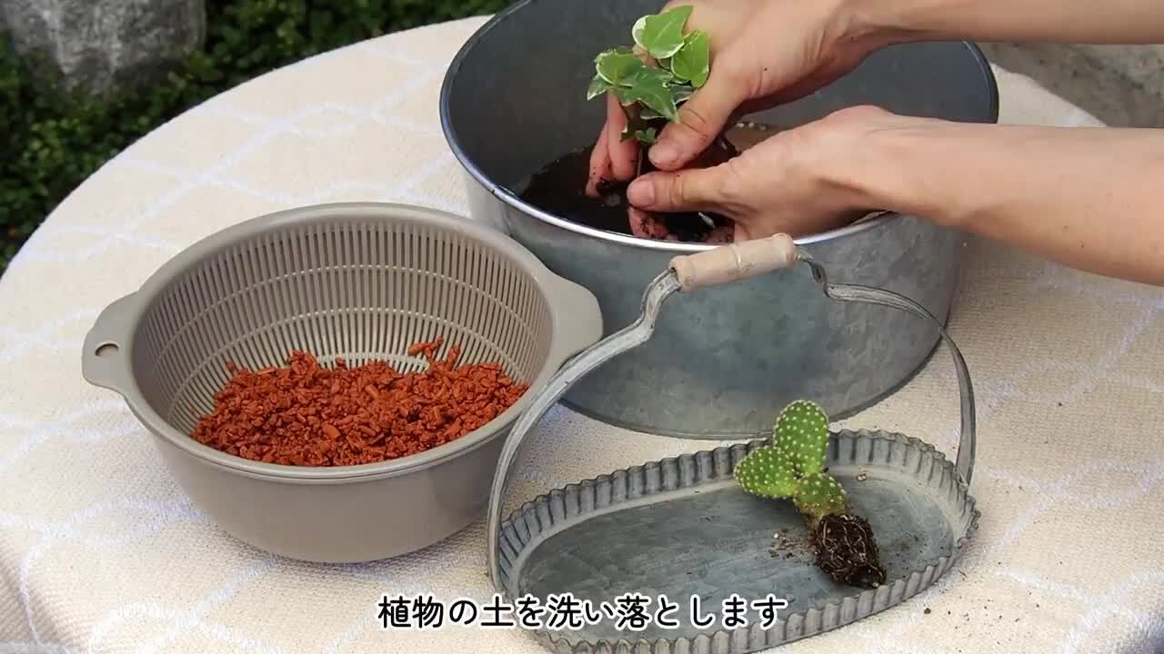 楽天市場】【あす楽】 セラミス ハイドロカルチャー 水耕栽培用