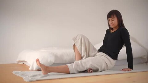 専用　白き森のリゼット3のみ セットアップ対応】トリアセダブルジョーゼット シフォン