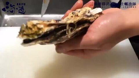 数量限定　生牡蠣　カキ　10キロ　軍手ナイフ付　伊万里湾産　送料無料 楽天市場】11日9:59迄クーポン＆ポイントUP！生食用 殻付き 岩